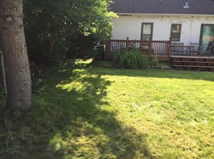 Cleanups by Preston Andrew for Jodi L. in Minneapolis, MN