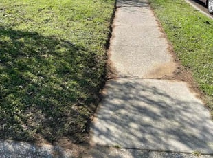 Joel S.'s Lawn Mowing Service service result
