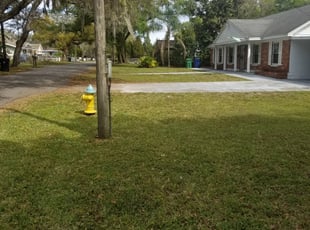 Cleanups by Eric Jones for Claire G. in Tampa, FL