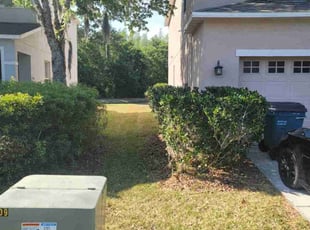 Bush Trimming by Kenneal Stewart for Nicole M. in Wesley Chapel, FL