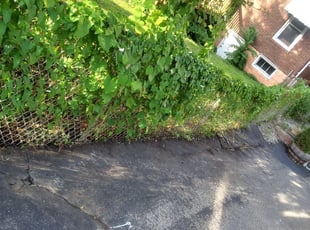 Leaf Removal by John Nagel for Joshua M. in Pittsburgh, PA