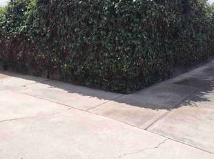 Bush Trimming by Francisco Jacquez for Rachel P. in Modesto, CA