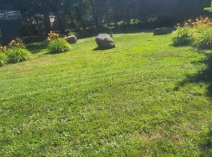 Shana W.'s Grass Cutting service result