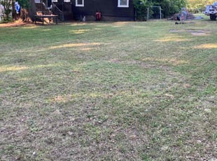 Cleanups by Almonte Marshall for Adriana O. in Durham, NC