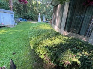 Bush Trimming by Joshua West for Nathaniel T. in Richmond, VA