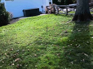 Leaf Removal by Caleb Patton for Cindy B. in Cincinnati, OH