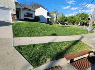 Rick B.'s Lawn Mowing Service service result