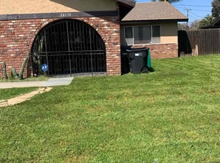 Paul D.'s Lawn Mowing service result