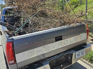 Cleanups by Kevin Mccoy for Micci A. in Omaha, NE