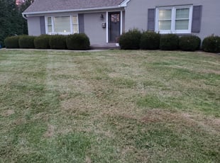 Leaf Removal by Leslie Morgeson for Michael Angelo H. in Louisville, KY