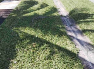 Mark E.'s Grass Cutting service result