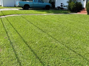 Nick C.'s Lawn Mowing service result