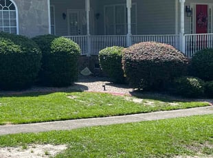 Cleanups by Jaczuile Pegues for Alexus H. in Elgin, SC