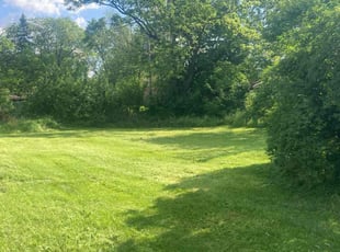 Irvin D.'s Lawn Mowing Service service result