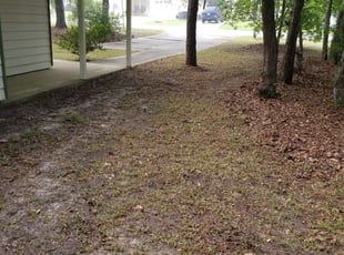 Cleanups by Rod Arnold for Elijah J. in Tallahassee, FL