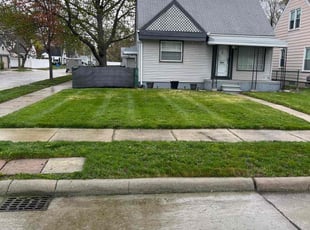 Andre C.'s Grass Cutting service result