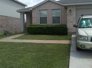 Steve C.'s Bush Trimming service result