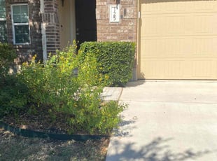 Bush Trimming by Bradley Matthiesen for Samuel B. in Boerne, TX