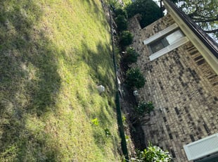 Bush Trimming by Adolfo Gonzalez Castaneda for Shawn P. in DeSoto, TX