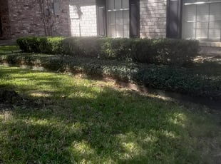 Bush Trimming by JB Irvine for Jaace C. in Houston, TX