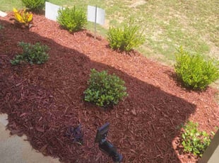 Landscaping by Julian Carnes for Tairuna B. in Jonesboro, GA
