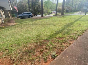 Leaf Removal by Becca Bulloch for Tonji B. in Atlanta, GA