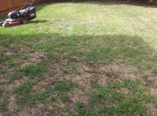 Cleanups by Alan Stone for Uma G. in Irving, TX