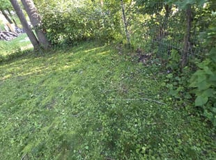 Cleanups by Alexis Morales perez for Melody I. in Chanhassen, MN