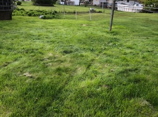 Cleanups by Daniel Chisholm for Cheyanne M. in Olyphant, PA
