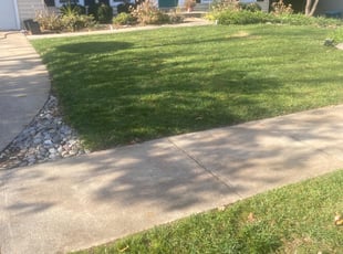 Leaf Removal by Manny Chavez for Andrea S. in Lorton, VA