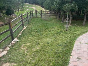 Nichole T.'s Yard Cutting service result