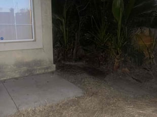Cleanups by Summer Dickerson for Tamara J. in Hemet, CA
