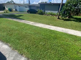 Ashley G.'s Grass Cutting service result