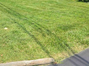 Togu L.'s Yard Cutting service result