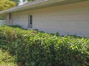 Bush Trimming by Willie Carmichael for Trista G. in Apopka, FL