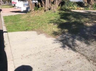 Gerald R.'s Lawn Maintenance service result