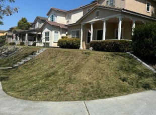 Mark H.'s Lawn Care service result