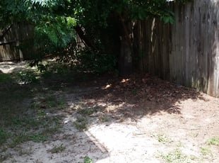 Cleanups by Mike Kafer for Marco v. in Palm Harbor, FL
