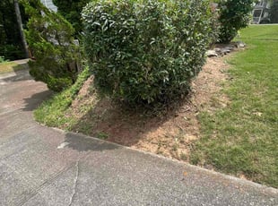 Bush Trimming by Ross Stevens for Frantisek P. in Woodstock, GA