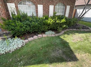 Weeding by Juan Antonio Perez Vazquez for Emily f. in Carrollton, TX