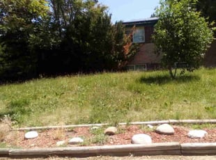 Weeding by Joseph Schweffermann for Adryanna P. in Denver, CO