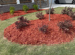 Landscaping by Armando J for Sushmita K. in Lawrenceville, GA