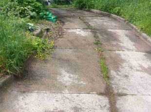 Leaf Removal by Mario Cook for Charlett L. in Akron, OH