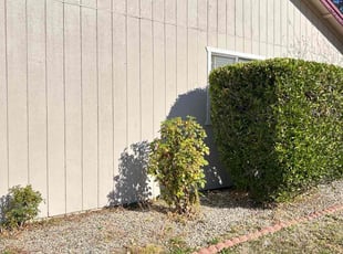 Bush Trimming by Gabriel Aldrete for Jay P. in Roseville, CA