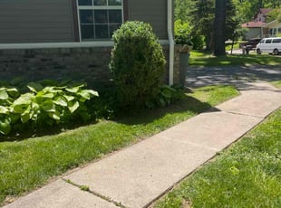 Bush Trimming by Tywuan Williams for Justin L. in Indianapolis, IN