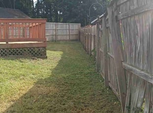 Anthony A.'s Lawn Maintenance service result