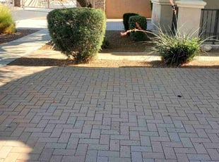 Bush Trimming by Chris Hawk for William V. in Phoenix, AZ
