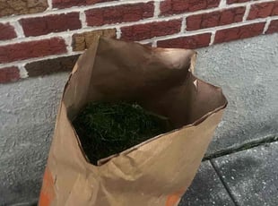 Cleanups by Alphonso Hoke for Sharon J. in Parkville, MD