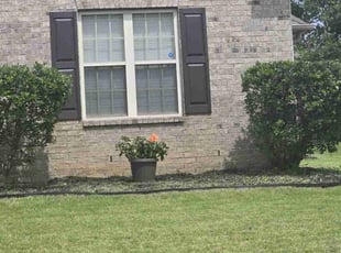 Weeding by Zachary Jones for Jasmine T. in Olive Branch, MS