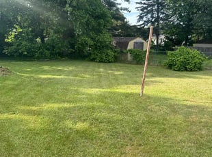 Lakisha T.'s Lawn Care service result